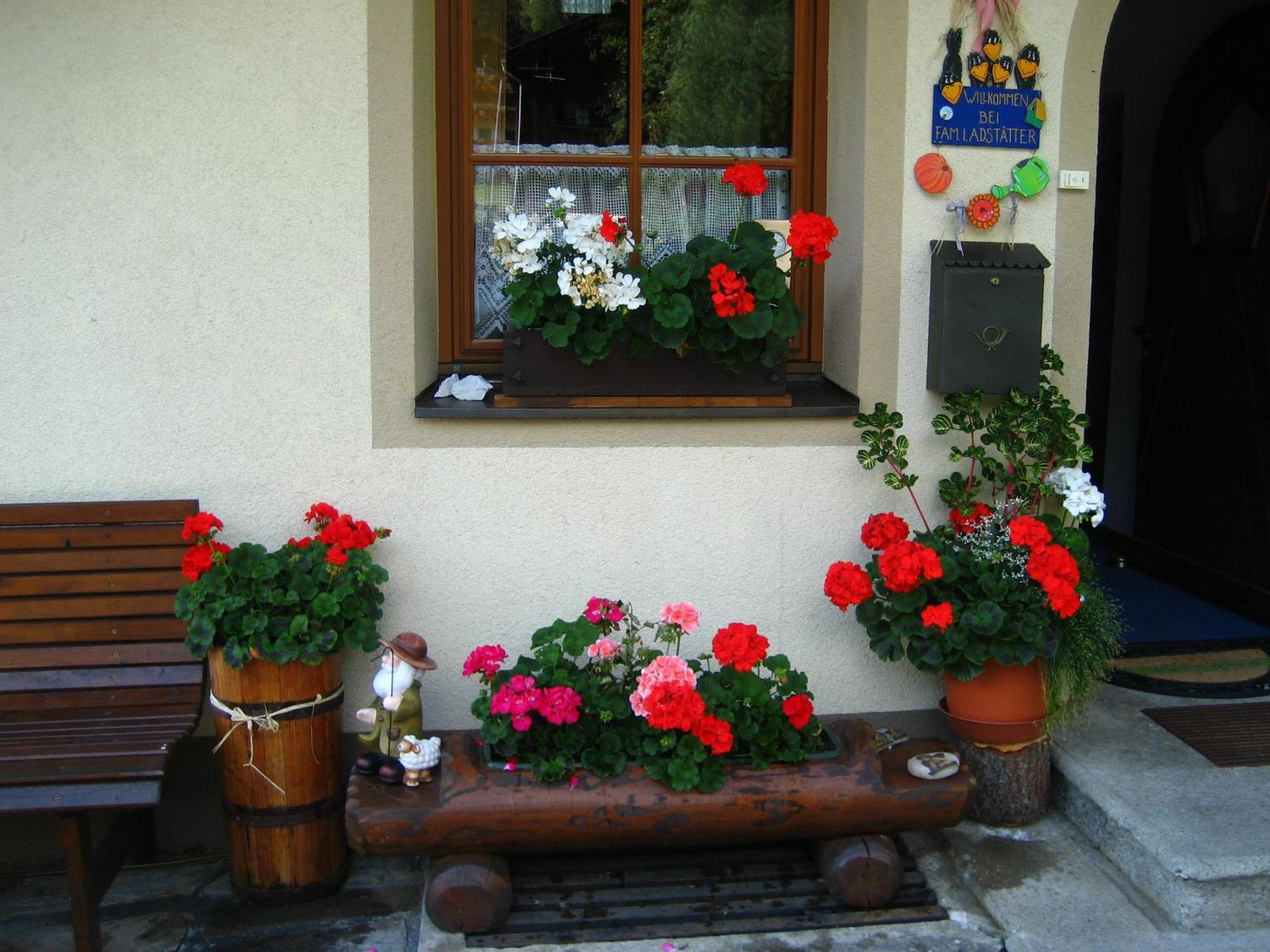 Haus Arnika * Sankt Jakob in Defereggen